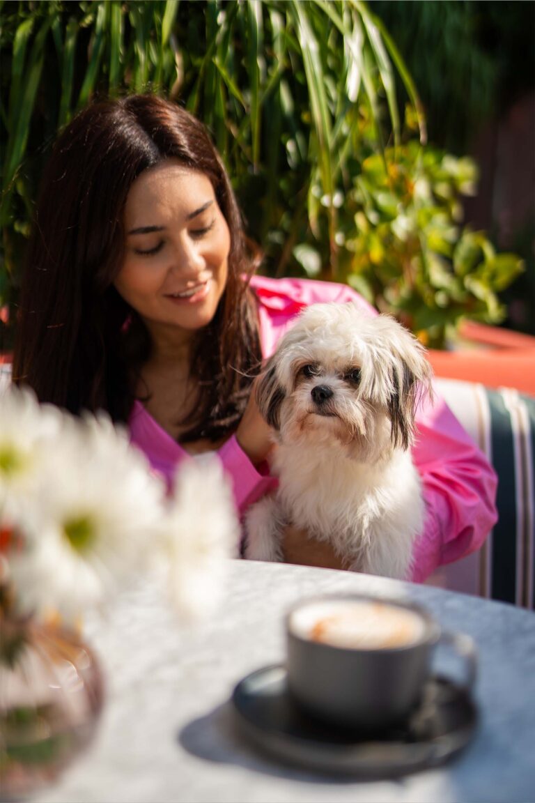 How Pet Friendly Cafes Keep Your Loved Ones Entertained